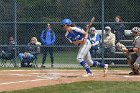Softball vs Springfield  Wheaton College Softball vs Springfield College. - Photo by: KEITH NORDSTROM : Wheaton, Baseball